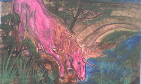Equus Ecos