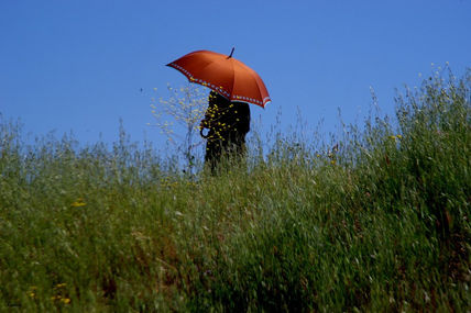 Foto nº 43