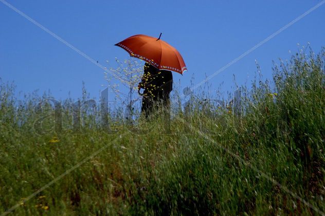 FOTO Nº 43
