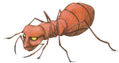 hormiga