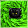 GATO SOBRE TAPIZ