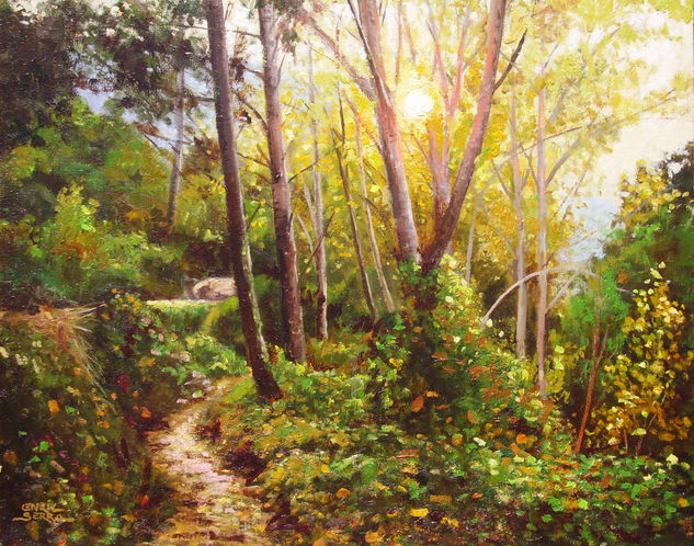 Atardecer en el bosque / Sunset in the forest. Oil Panel Landscaping