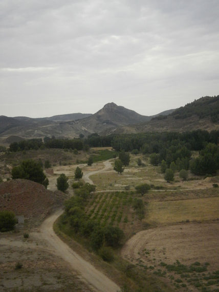 ZGZ  RVTD2  "Camino...