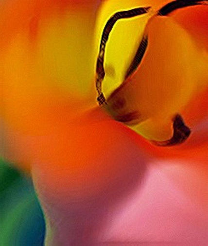 Flor Esperando