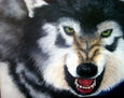 Lobo II