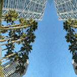 FLORAL thumbnail 1