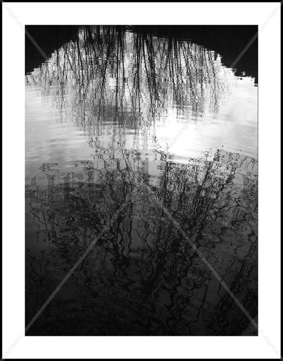 Reflejos sobre el Júcar.