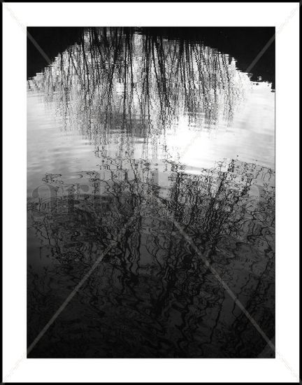 Reflejos sobre el Júcar. Naturaleza Blanco y Negro (Digital)