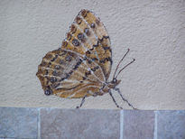 Mariposa 2