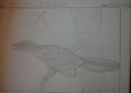 El alegre