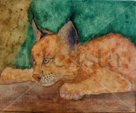 Lince