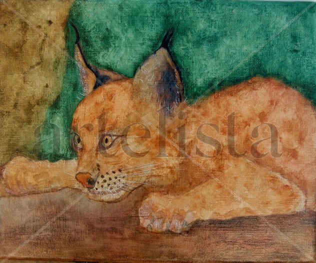 Lince