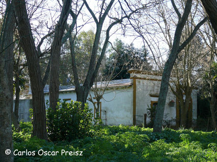 Casona y arboleda.
