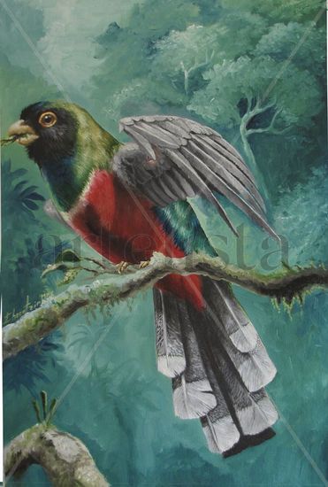 Trogon elegans II Oil Canvas Landscaping