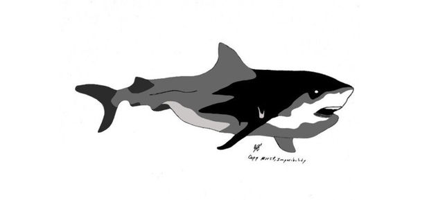 Impossibiltity, Hist_copydraw by jlb