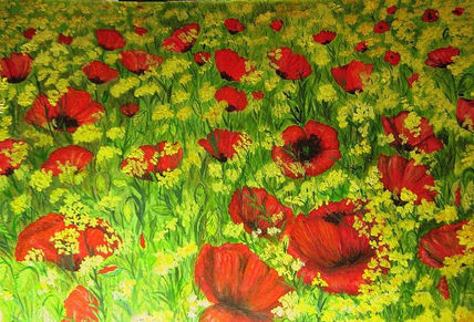 Amapolas y flores...