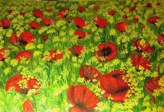 AMAPOLAS Y FLORES AMARILLAS.....