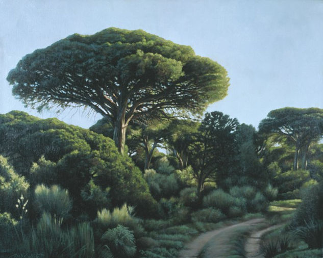 Paseo por "La Algaida" Oil Canvas Landscaping