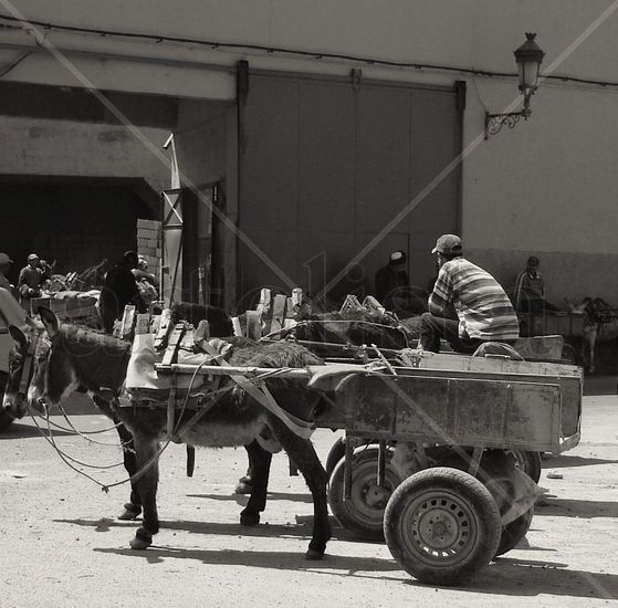 "Marrakech" Viajes Blanco y Negro (Digital)