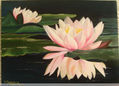 Flor de loto