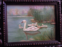 Cisnes