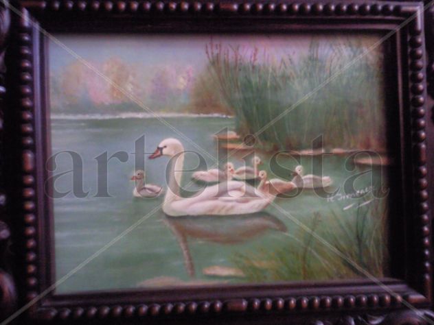 cisnes