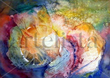 Nidos y cosmos 14