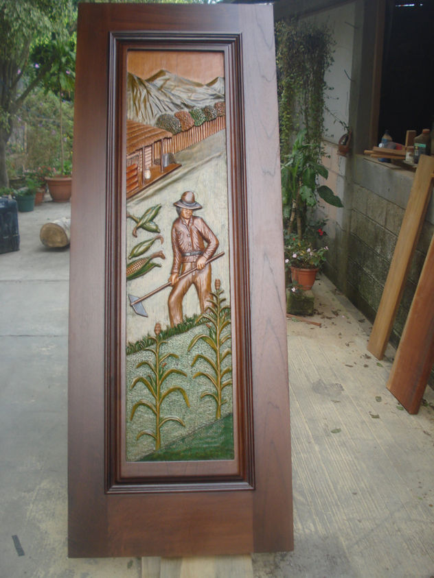 CAMPESINO COSECHANDO MAIZ