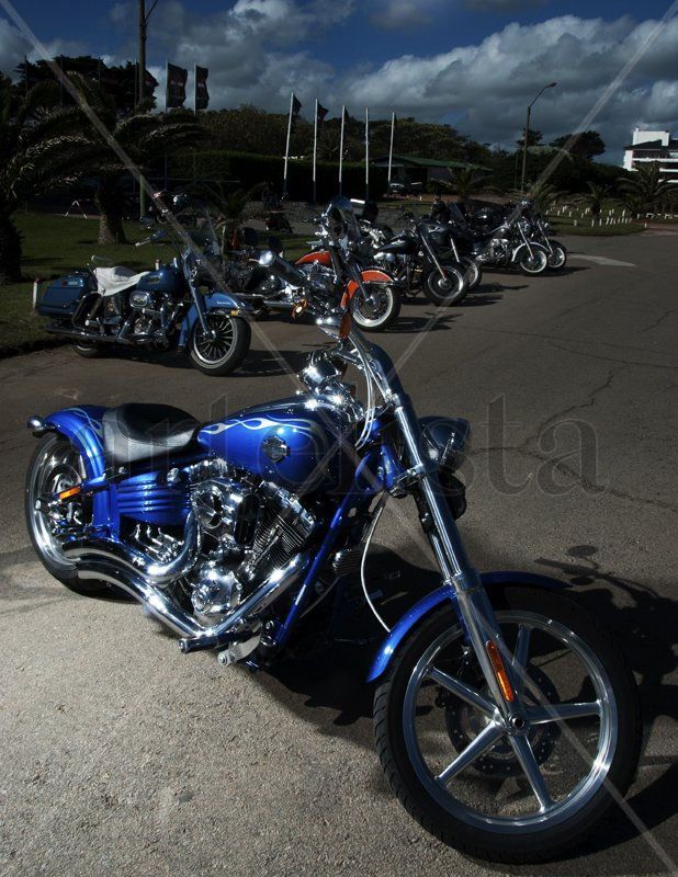moto custom motorcycle
