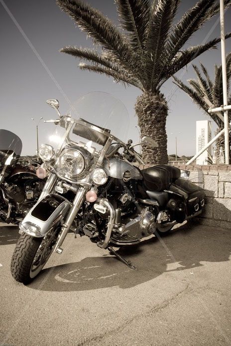 Moto custom motorcycle