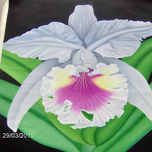 ORQUIDEAS thumbnail 1