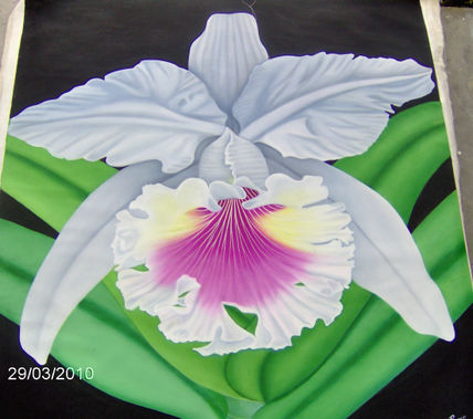 Orquidea