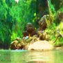 EL RIO DEL BOSQUE