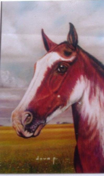 EL OVERO