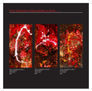 COSMOGONÍA EN ROJO 1, 2 , 3