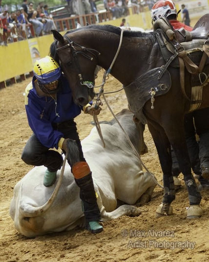 Tarde de Toros