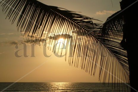 Un precioso atardecer