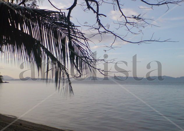 Tarde en la Isla