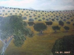 Olivar Oil Canvas Landscaping