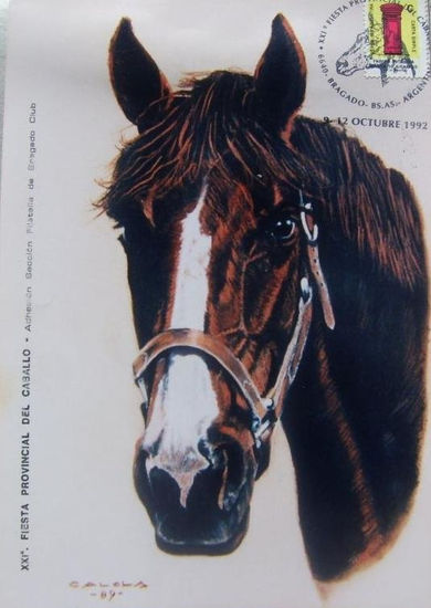 BANDIDO- QH Pastel Papel Animales