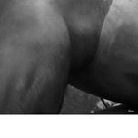 Retratos - Desnudos thumbnail 1