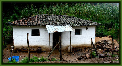 En el campo