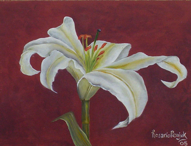 LILIUM 