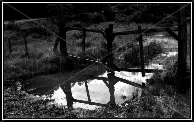 Cerrado Viajes Blanco y Negro (Digital)