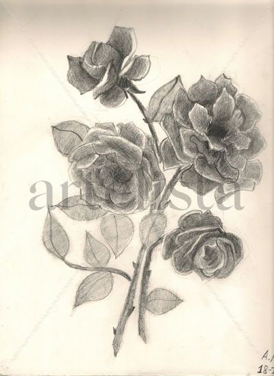 Flores Charcoal