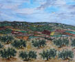 paisaje de olivos 42