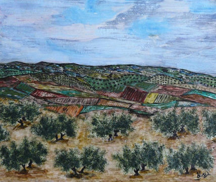 Paisaje de olivos 42