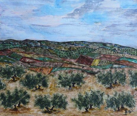 Paisaje de olivos 42