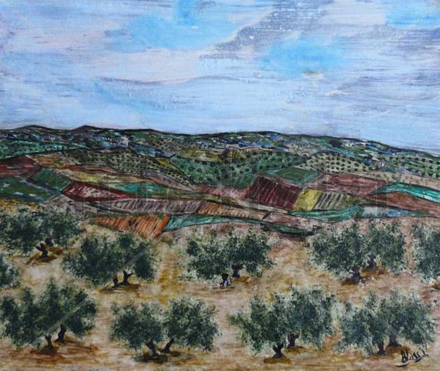 paisaje de olivos 42