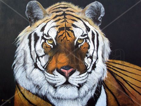 Beleza Siberiana